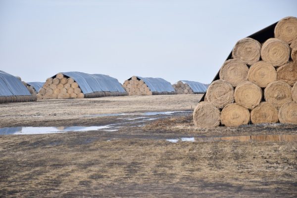 Haystack Covers Haystack Covers