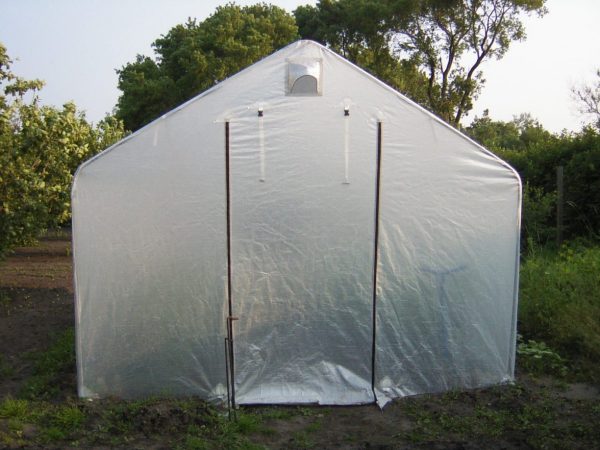 Home Greenhouse
