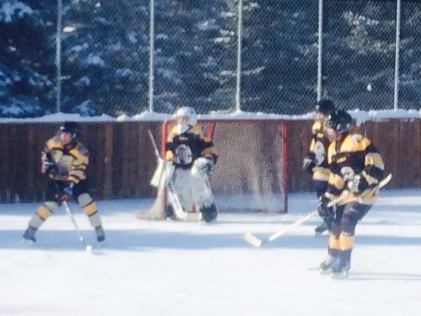 Backyard hockey rink Backyard hockey rink