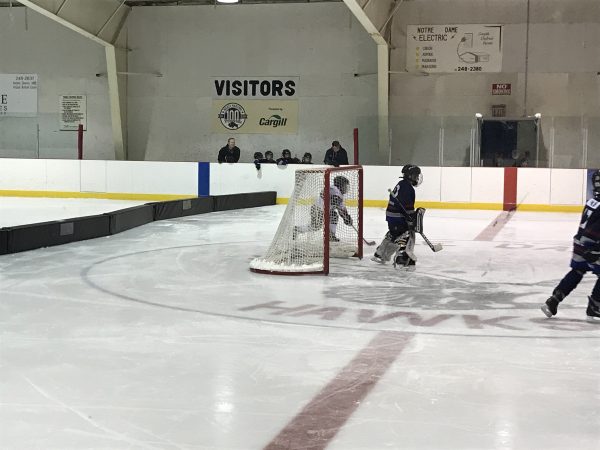 Rink Dividers
